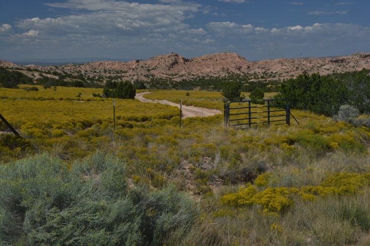 landscape on the High Road